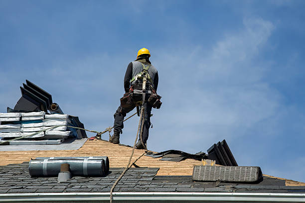 Professional Flat Roof Repair technician working in Bloomington, TX